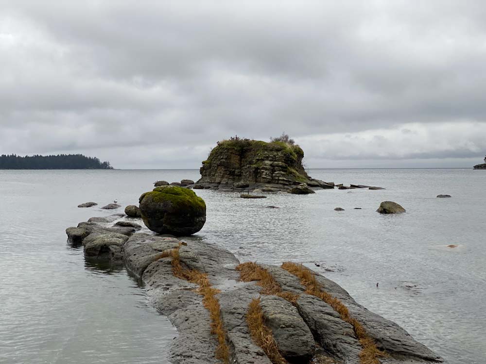 Coast of Vancouver Island